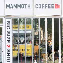 매머드커피(Mammoth coffee)